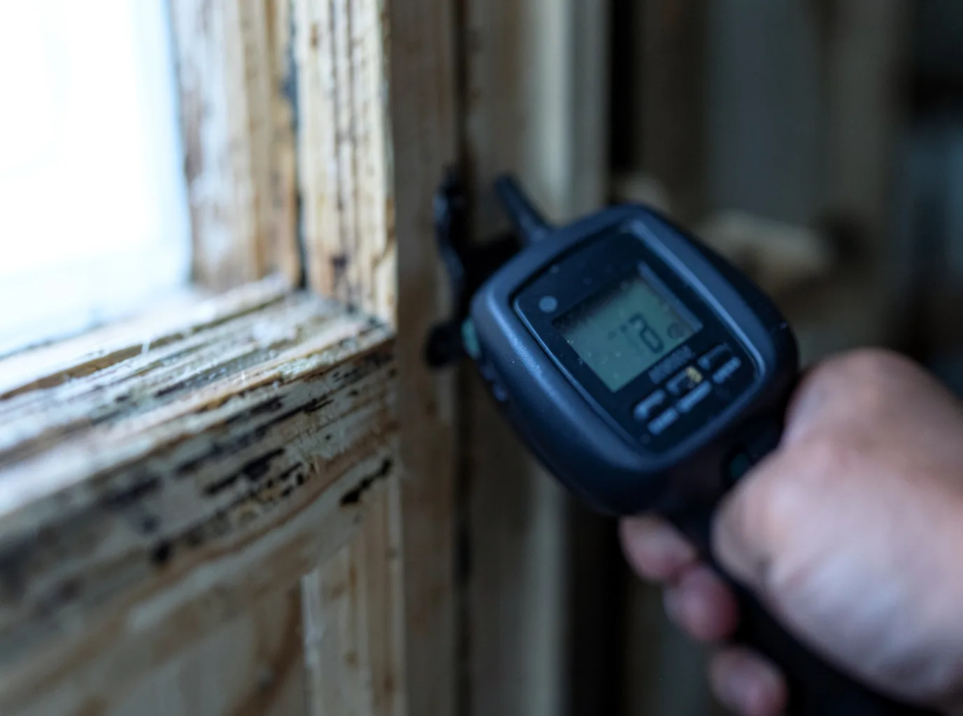 Commercial Water Damage Restoration in Absarokee, MT